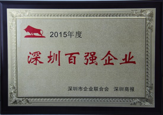 尊龙凯时集团连续十年蝉联“深圳百强企业”
